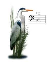 Heron Watch note art 1