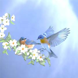 Bluebird skies re do 3060